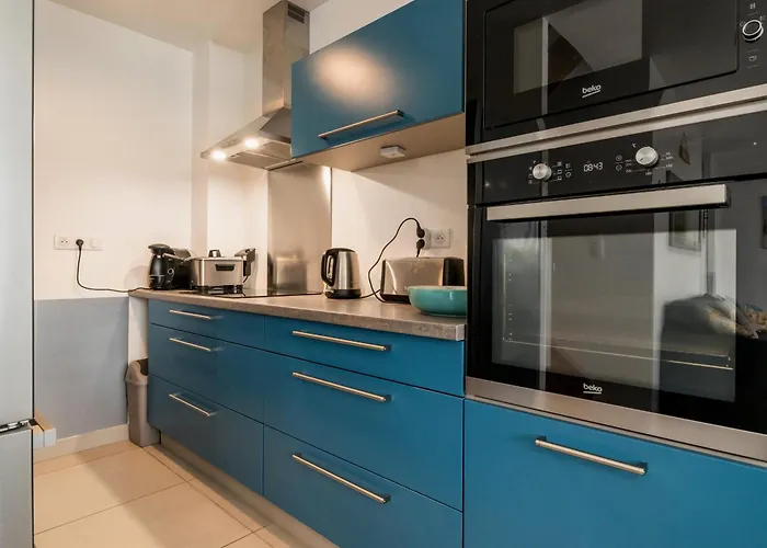 Maison Recente A 200 M De La Avec Jardin Clos, Terrasse, Velos Et Wifi A - Fr-1-306-1265 *